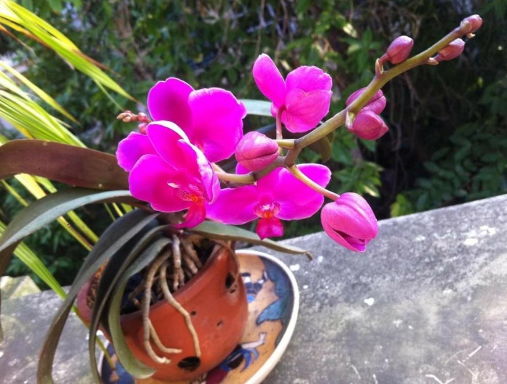 De Studio Homestay Hanoi Dış mekan fotoğraf